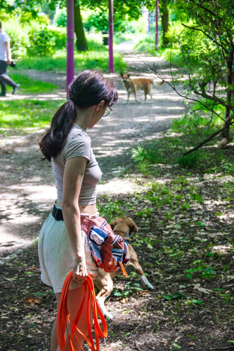 Gabriela Pydych obserwuje psa podczas spaceru behawioralnego